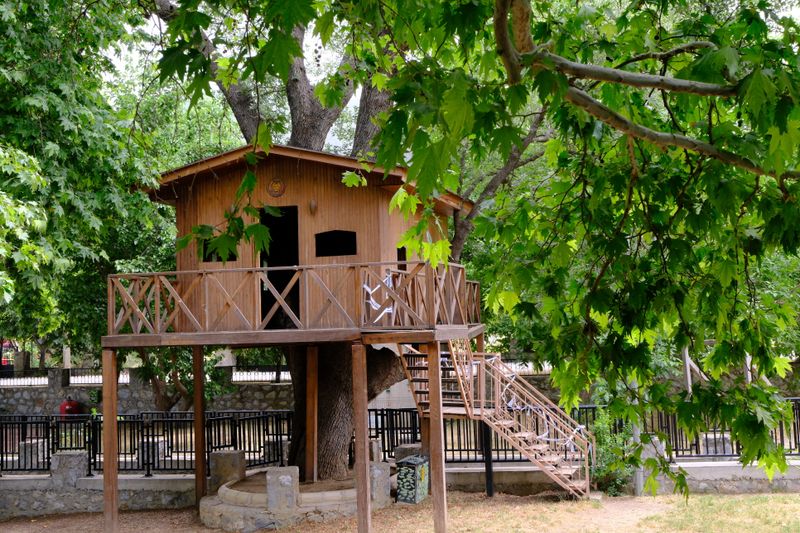 The Summer We Built the Treehouse